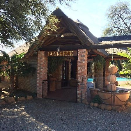 Boskoppie Lion & Tiger Reserve Kroonstad Exterior foto