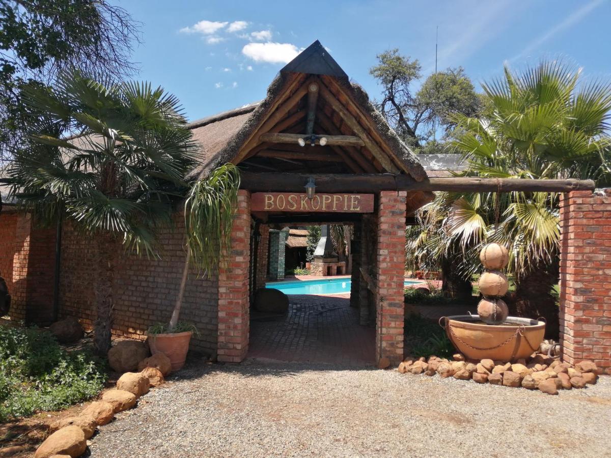 Boskoppie Lion & Tiger Reserve Kroonstad Exterior foto